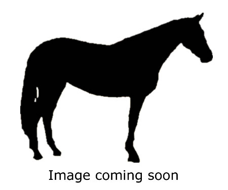 Click for a larger picture of Unnamed 2023 In Utero Ibiza x PhoebeVH colt option